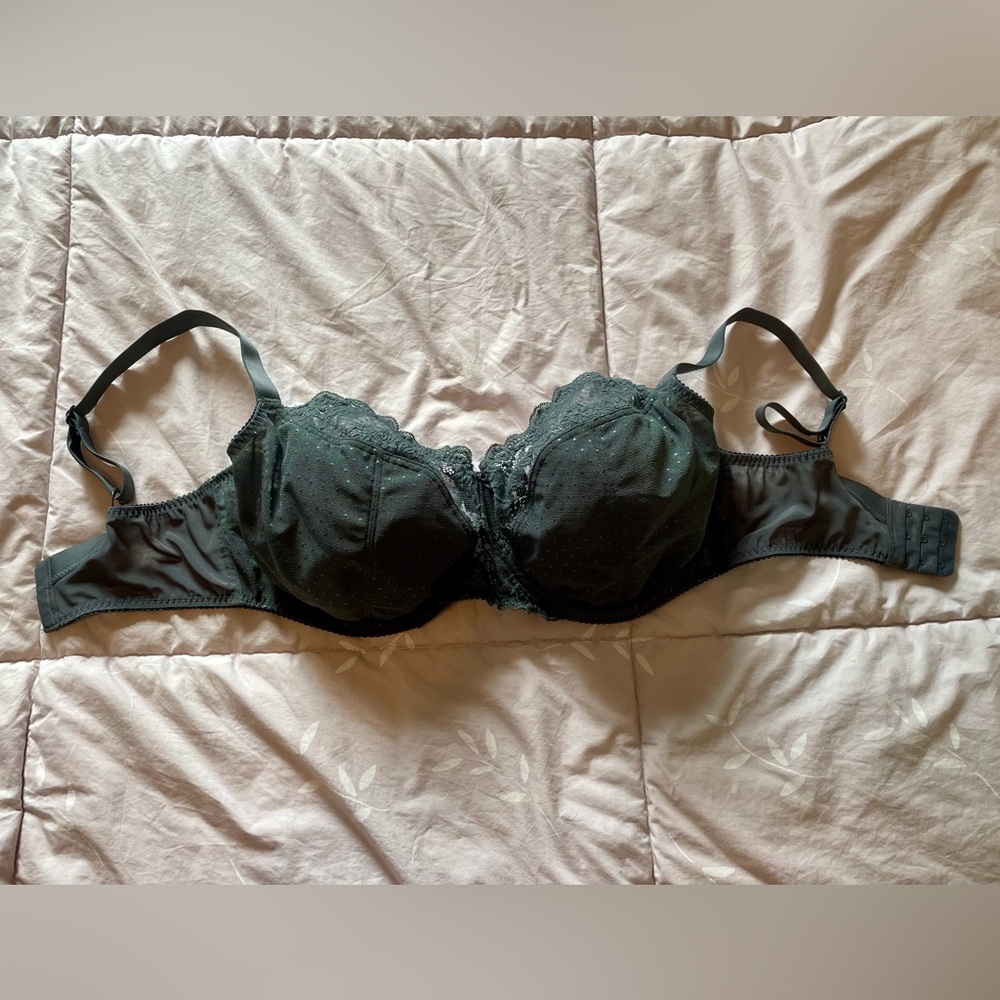 Flirtelle Bra 36J